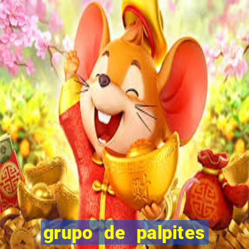 grupo de palpites de futebol whatsapp